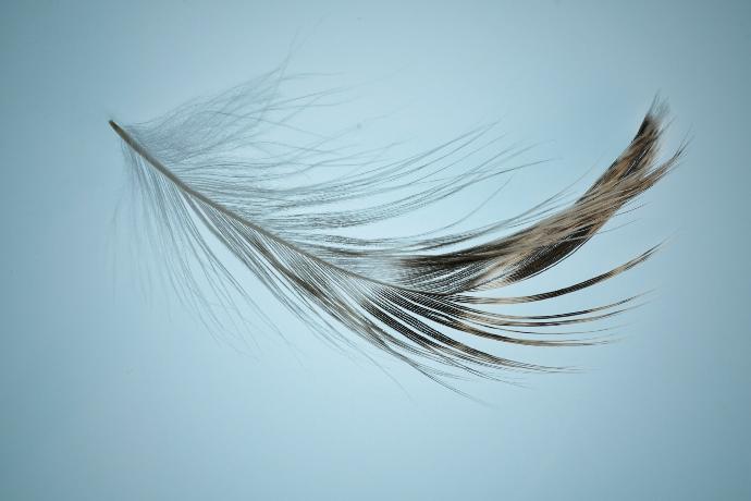 white and black hair on white surface