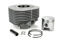 CC0905 CILINDRO COMPLETO AGRIA / N.S.U. 6000 MOTOCOLTIVATORE 506 D. 58