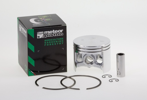 [1756] P1756 PISTONE STIHL MOTOSEGA MS066 D. 54