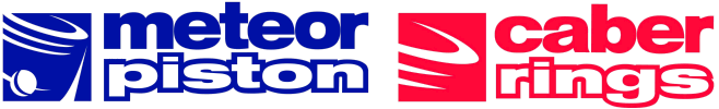 METEOR PISTON S.r.l.